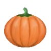 Oval Pumpkin