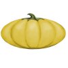 Yellow Squash