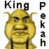 King Pekah ©2010 Martha K. Miller