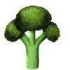 Stalk of Broccoli