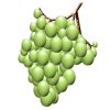 Bunch of Green Grapes