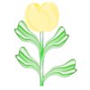 Banana Tulip